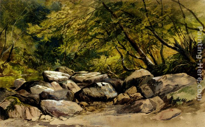 A Rocky Stream, Lyndale, Devon